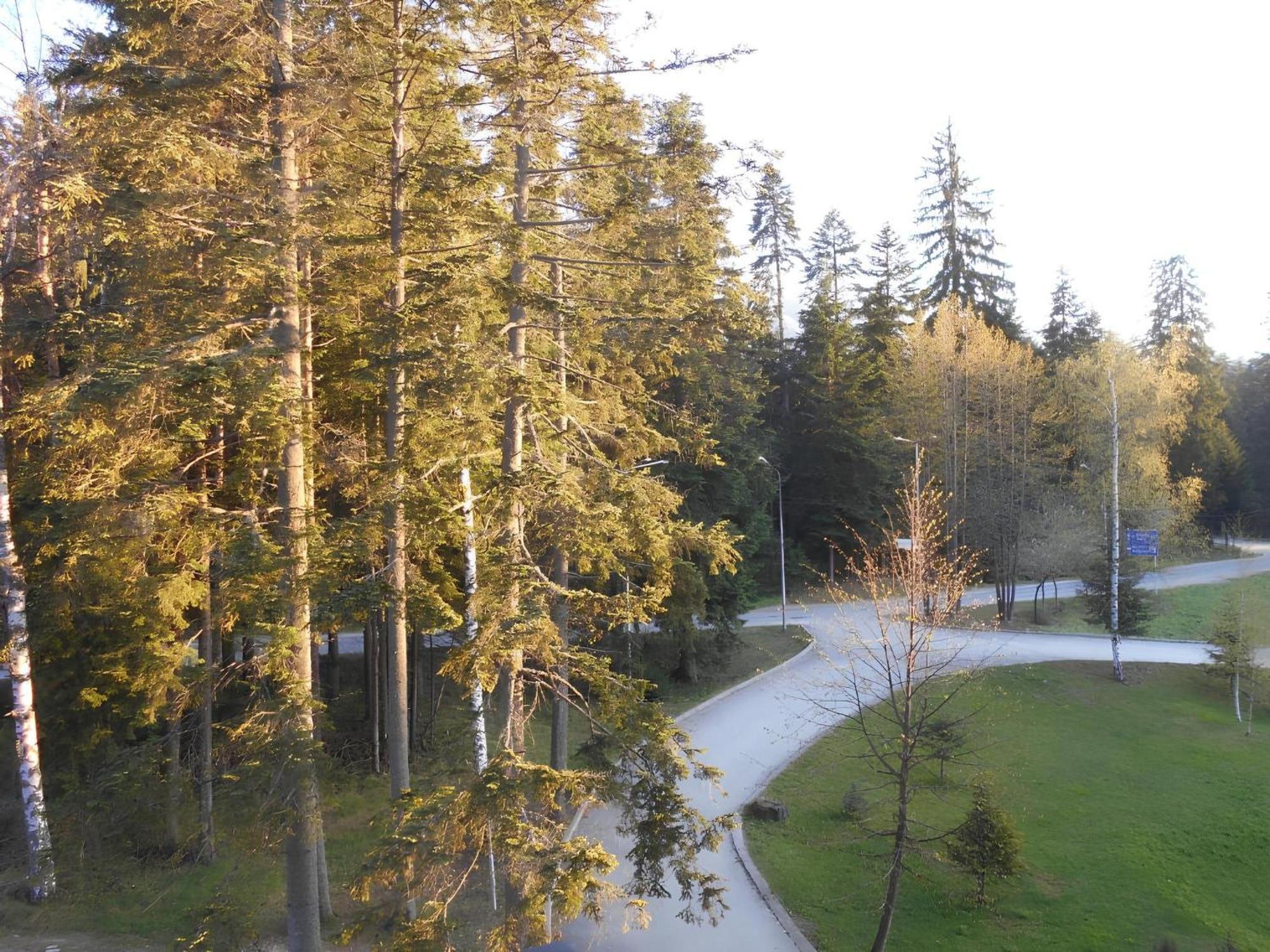 Neat Studios In "Borovets Gardens" Hotel Ngoại thất bức ảnh